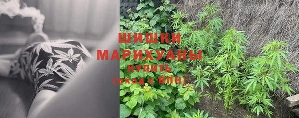 круглые Осташков