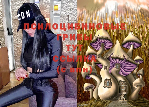 ALPHA PVP Остров