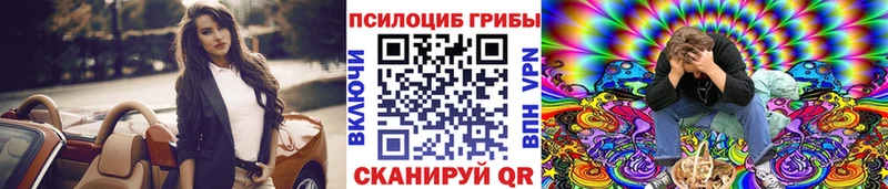 Псилоцибиновые грибы Psilocybe хочу наркоту блэк спрут ссылка Маркс